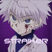 STRAIKER(12iq)